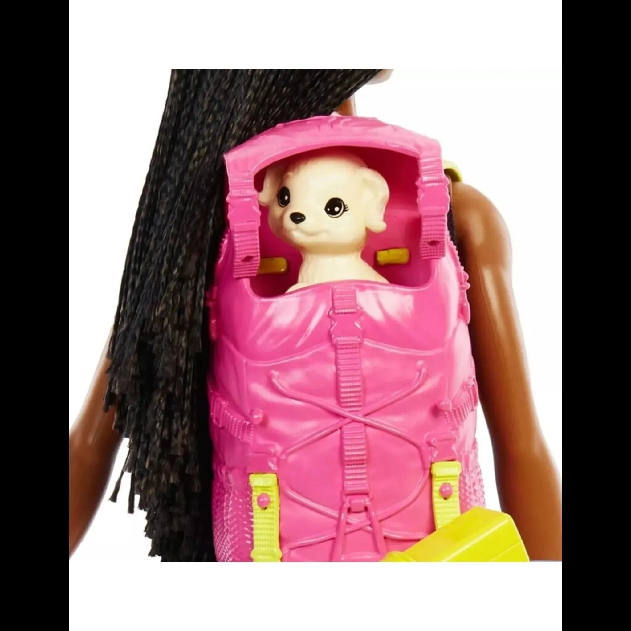 Barbie Dha Camping Doll Assorted