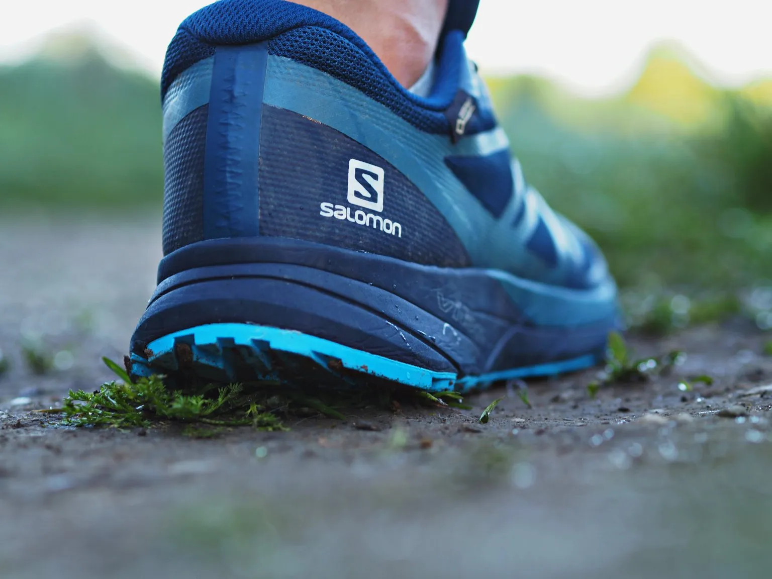 Salomon Women's XA Elevate GTX